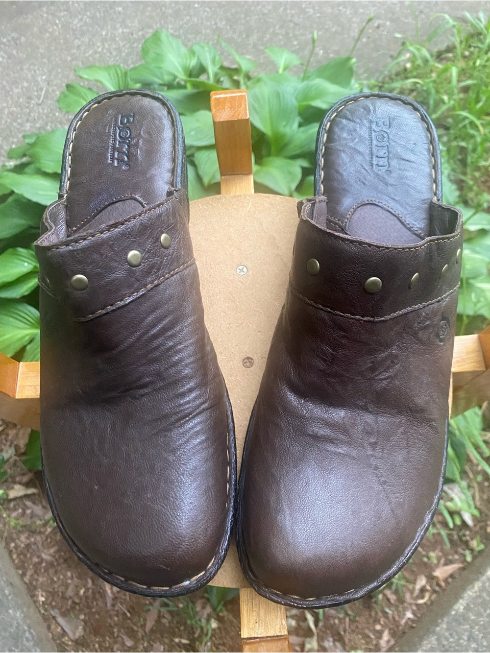 Born brown   mules